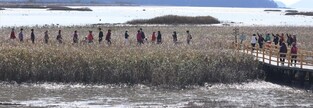 강진만 춤추는 갈대축제, 13일 생태공원서 열려