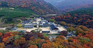 가을에 아리랑길·영남알프스길 걸어요…밀양시, 도보여행 마련