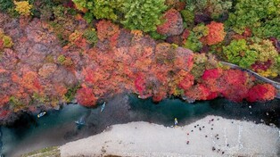 시월의 첫 단풍…태백 철암단풍축제 13일 개막