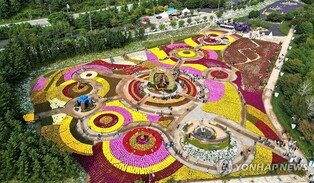 단풍 물들고 꽃은 활짝…인제 가을꽃축제 22일까지 연장