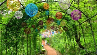 "원주 동화마을수목원으로 오세요"…개장 후 첫 가을 축제