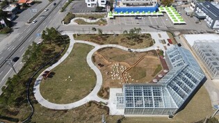 양양군, 녹색생태공원 조성 기념 국화전시회 등 개최