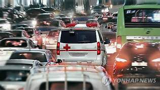 사설구급차에 왜 연예인이…'30만원에 행사장까지' 기사에 실형