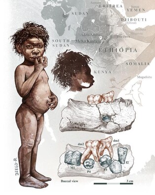 [사이테크+] "'올도완·아슐리안' 석기 만든 초기 인류는 호모 에렉투스"