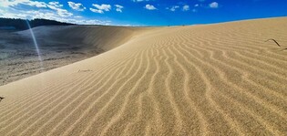 태안 신두리 해안사구서 21일 대한민국 사구축제