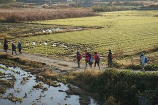쉬엄쉬엄 걷기 좋은 가을, 경남에서 걷기여행 해볼까