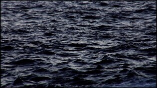 [미술소식] 호암미술관, 국내외 동시대 작가 한 자리에…'자연/스럽게'展