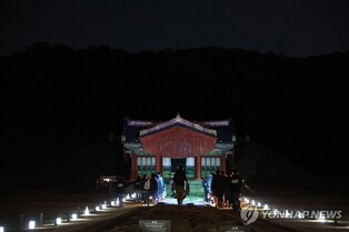 고양이 '묘묘' 따라 떠난 특별한 여행…가을밤 아래 빛난 서오릉