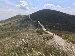 가을에 은빛 물결 일렁이는 '합천 황매산 억새 축제' 21일 개막