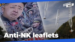 What next for anti-N. Korean leaflets