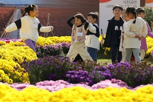 강진만 춤추는 갈대축제장, 가을운동회 등 이벤트 푸짐