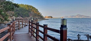 123만 자원봉사자 길 걸으며 힐링…29일 태안 솔향기길 축제