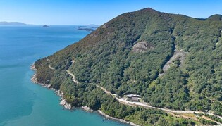 가을 완도 약산 해안치유 숲에서 '숲캉스'