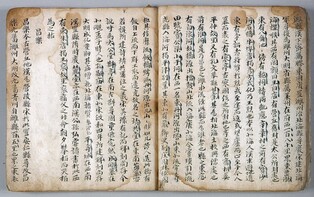 남이웅 영정 등 의령 남씨 집안 유물 68점 세종시 품으로