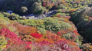 한라산 울긋불긋 단풍 절정…지난해보다 2일 늦어