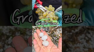 Parts of S. Korea hit by hail storms #hail