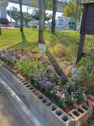 김해 쓰레기 무단 투기지역이 꽃정원으로 변신해 음악회 연다