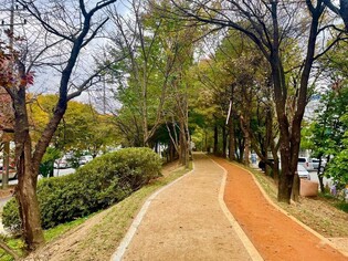 청주 수곡중∼산남사거리 완충녹지에 황톳길 조성