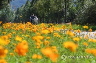 일상 속 문화예술 향유…제1회 경남생활문화예술제 개막