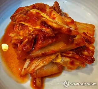 김치의 날 맞아 내달 22일 하와이에 '김치 박물관' 개관