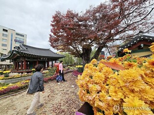 강원감영 국화전시회 성료…방문객 5만4천명·경제 유발 10억원