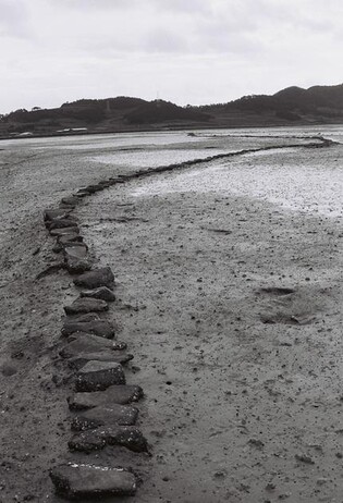 콘크리트 도로 걷어내자 '300년 된' 암태도 노둣길 드러나