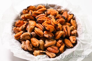 창원 대표 수산물 홍합 맛보고 즐긴다…11월4∼5일 축제