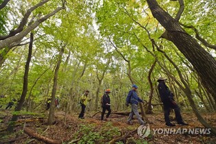 '단풍에 벅차오른다' 제주 삼다수숲길서 3∼5일 지질 트레일