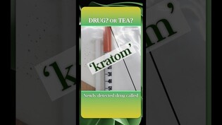 Mysterious plant that only Thais know? #drug #nodrugs