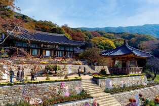 서산 관광사진 공모전 금상 '개심사 전경'…"관광홍보에 활용"