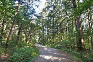 [imazine] 수목원의 가을 ① 광릉 옆 국립수목원