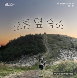 제주 자연 그대로를 만나는 마을 숙소 5선 공개