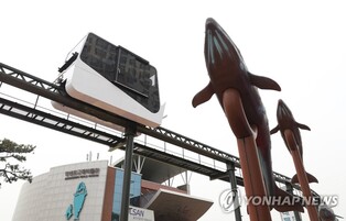 중국 인플루언서 초청해 울산 홍보 "효과 좋네"…1천만회 조회