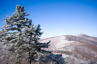 첫눈 내린 날 정선 가리왕산은…겨울왕국 장관