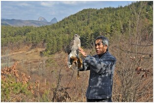 세계문화유산 '전통 매사냥' 25일 전북 진안에서 시연회