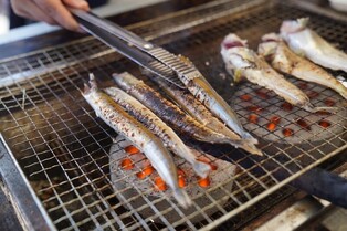 속초 '양미리·도루묵 축제' 개막…내달 3일까지 행사 다채