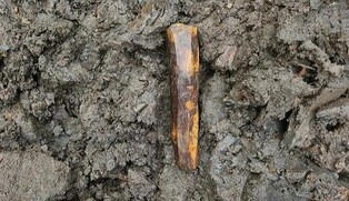 123자 적힌 궁예의 나라 흔적…"한반도 목간 중 글자 수 최다"