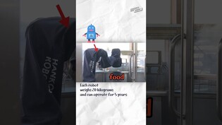 Cooking robots prepare school meals