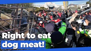 Dog meat traders threaten to release 100 animals in front of presidential office