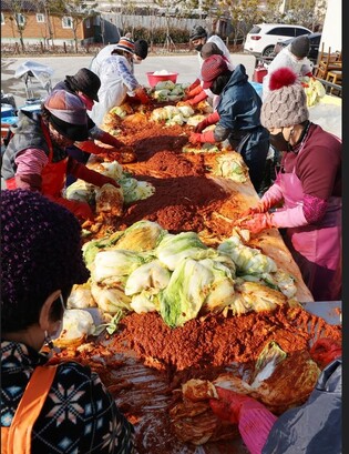 강진서 3일 묵은지 김장축제…체험객에 김치 제공