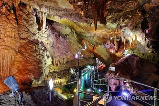 "겨울 관광지로 여기 어때"…동해 천곡황금박쥐동굴 주목