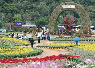 꽃길 걷는 '인제 가을꽃축제'…지역 경제효과 393억원 '껑충'