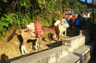 [K-Traveler] The day I learned to see my burden as blessing