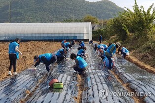 울산시 자원봉사 대축제 개최…이상순 씨 대통령 표창