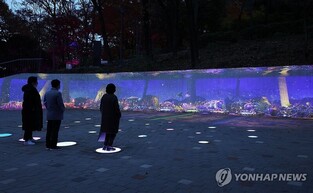 '빛으로 잇는 도심 겨울밤'…연말까지 광주 빛 축제