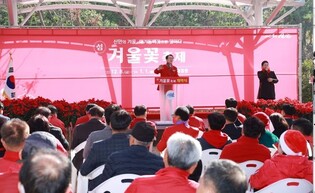 신안군 압해도서 '애기동백 겨울꽃 축제' 개막