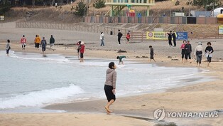 "겨울 맞아?"…포근한 날씨에 해수욕장·국립공원 '북적'