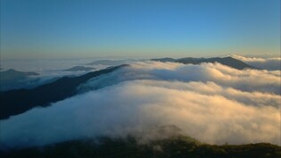 KNN 제작 다큐멘터리 영화 '무경계', 국내외 TV·영화제서 수상