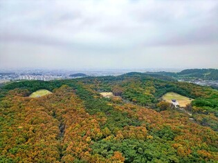 [문화유산] 정조의 사부곡…화성 융릉과 건릉
