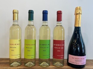 강진군, '샤인머스켓 와인 제조방법' 특허 등록